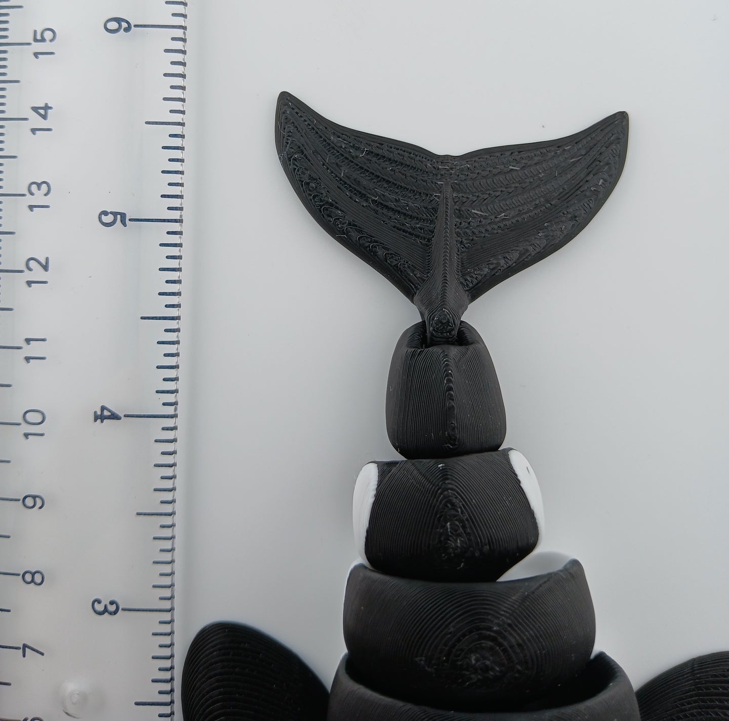 Orca